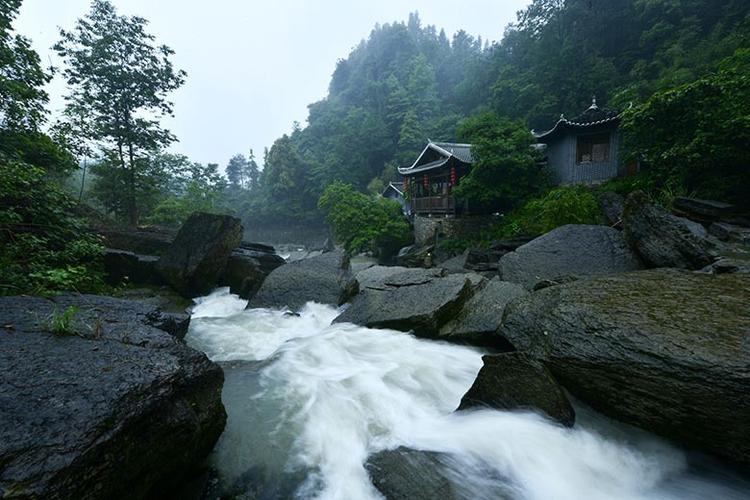 东兴杨梅坳避暑旅游风景区-图2