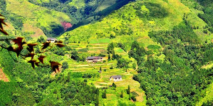 东兴杨梅坳避暑旅游风景区-图3