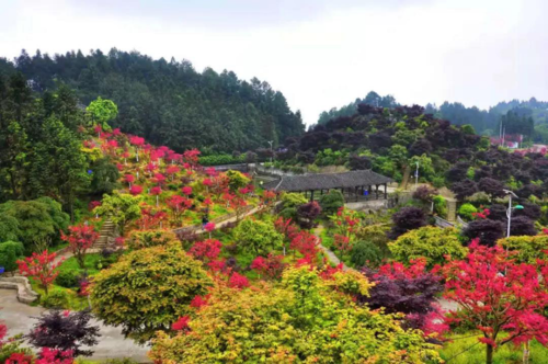 重庆五洲园风景区电话-图1