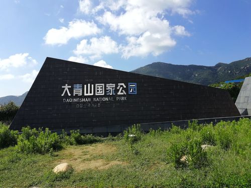 费县大青山旅游风景区-图1