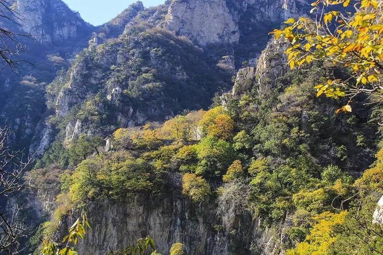 沟崖自然风景区怎么样-图2