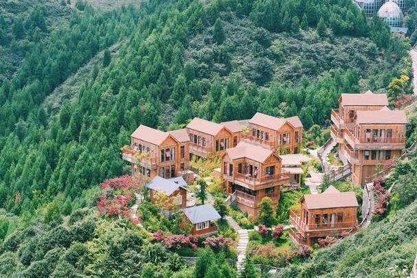 绵竹九龙山风景区住宿-图1