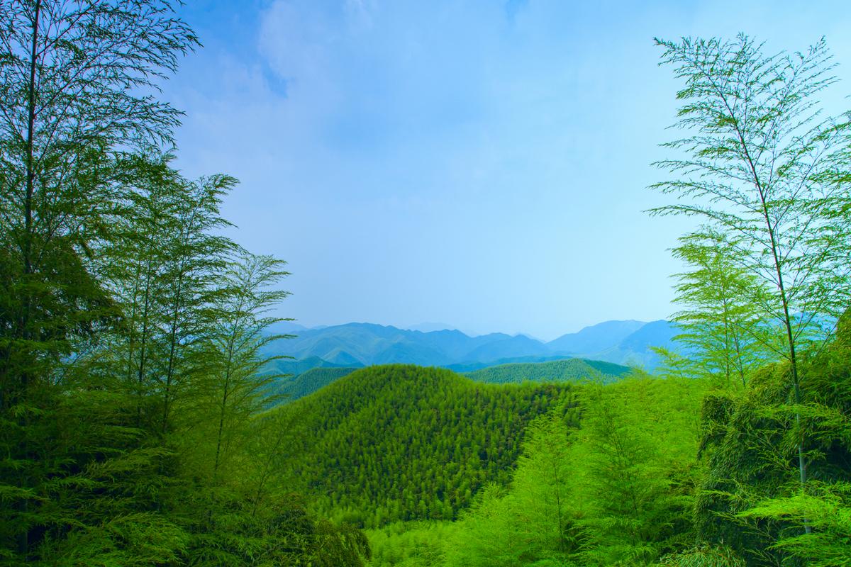 杭州竹海风景区一日游-图1