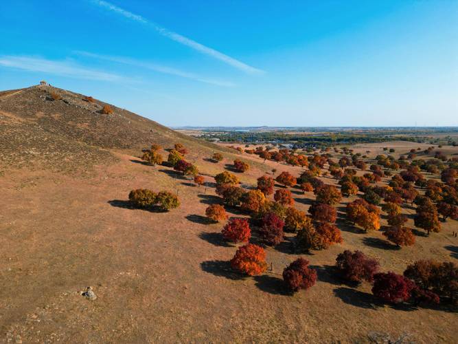 代钦塔拉五角枫风景区-图1