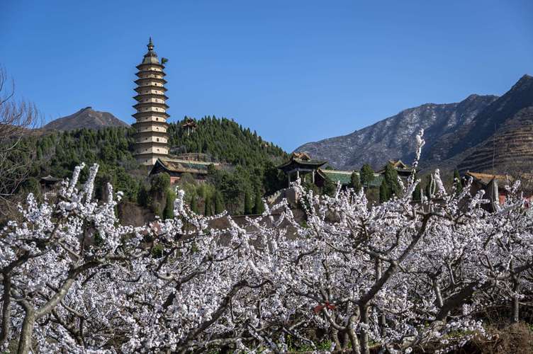 永济风景区-图1