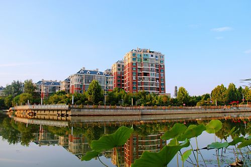 项城风景区-图1