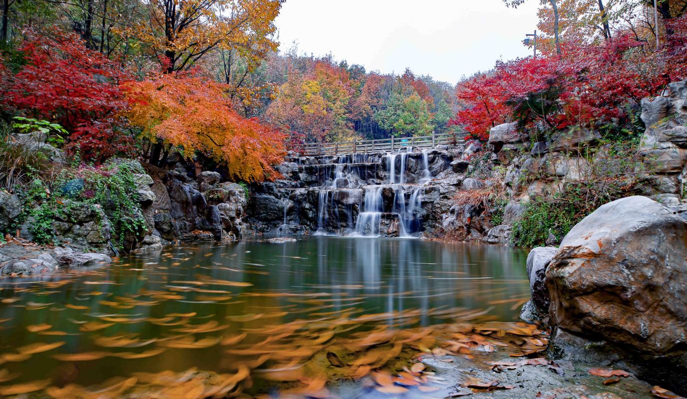 灌云风景区-图2