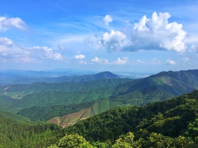 高明风景区-图3