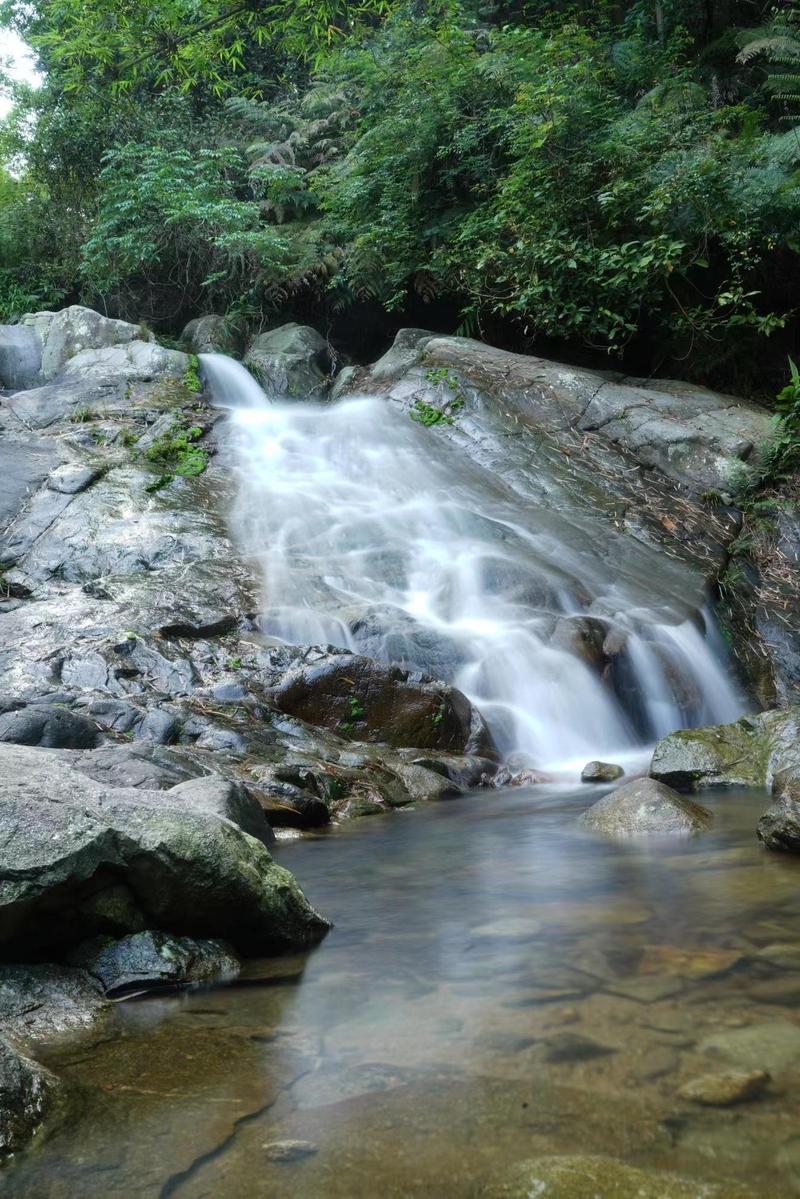 高明风景区-图1