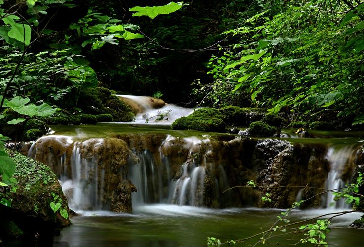 竹林风景区-图2