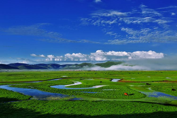 红原风景区-图2