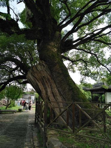 樟树风景区-图3