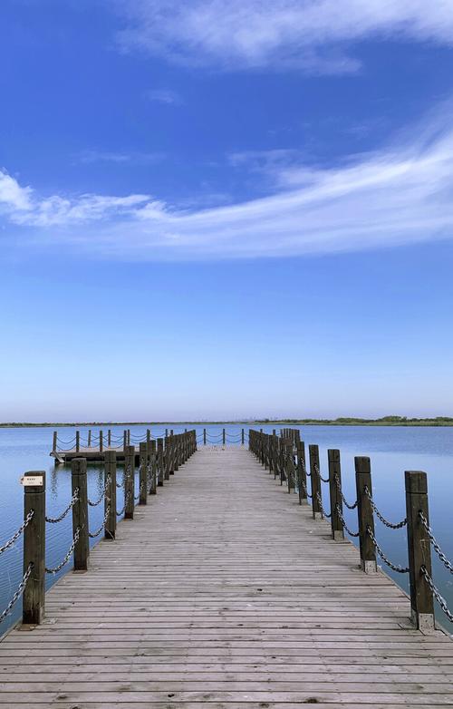 静海风景区-图3