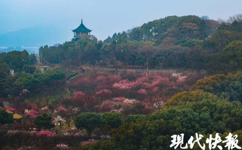 无锡梅园风景区-图1