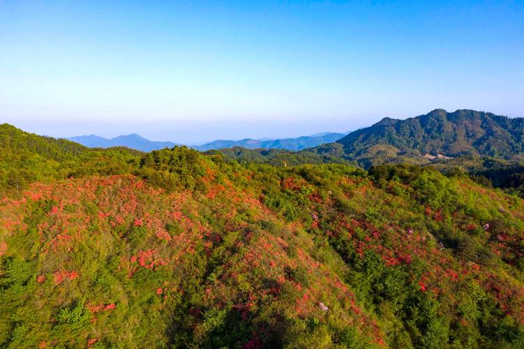 江西武宁风景区-图2