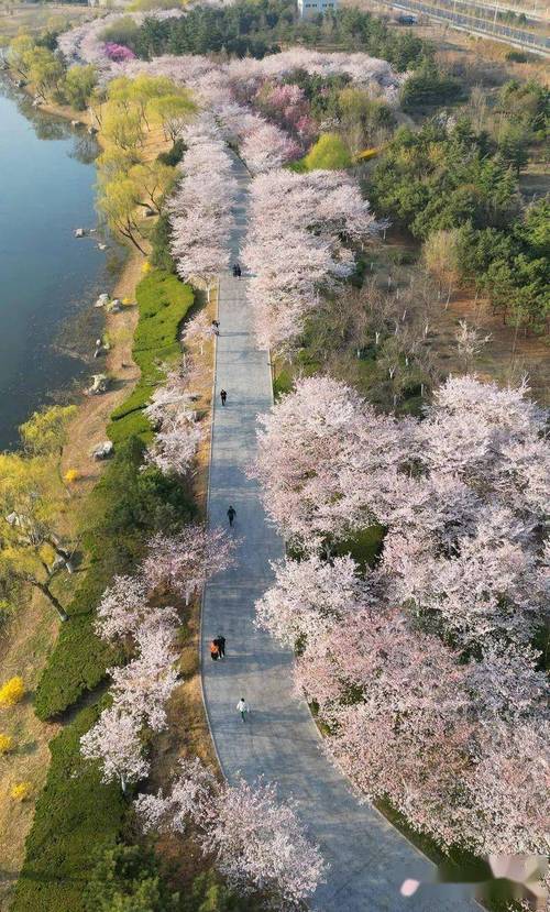 浞河风景区-图1