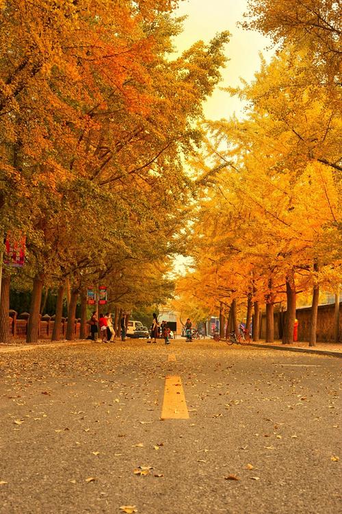 太阳沟风景区-图1