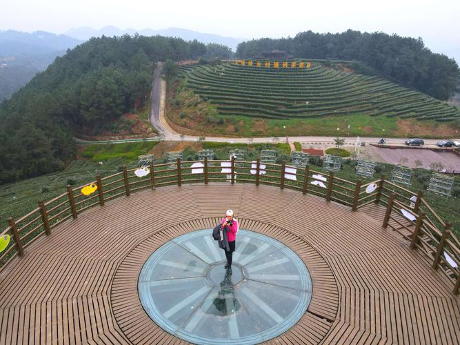 大雁岭风景区-图1