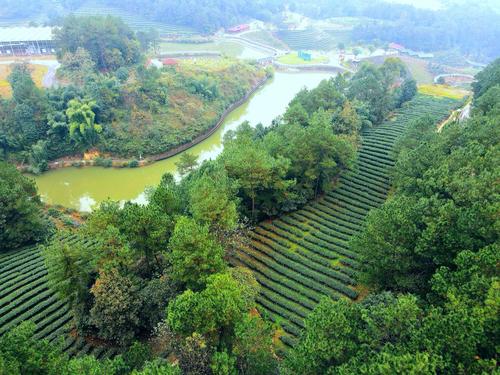 大雁岭风景区-图2