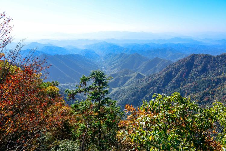 西天目风景区-图1