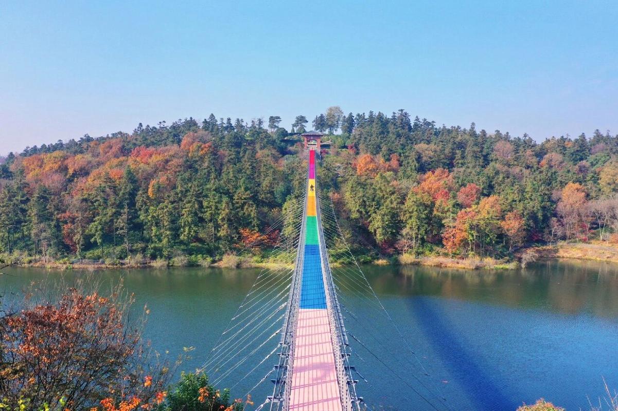 银杏湖风景区-图2