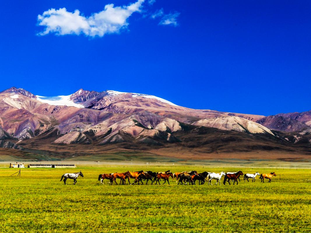 巴音布鲁克风景区-图2