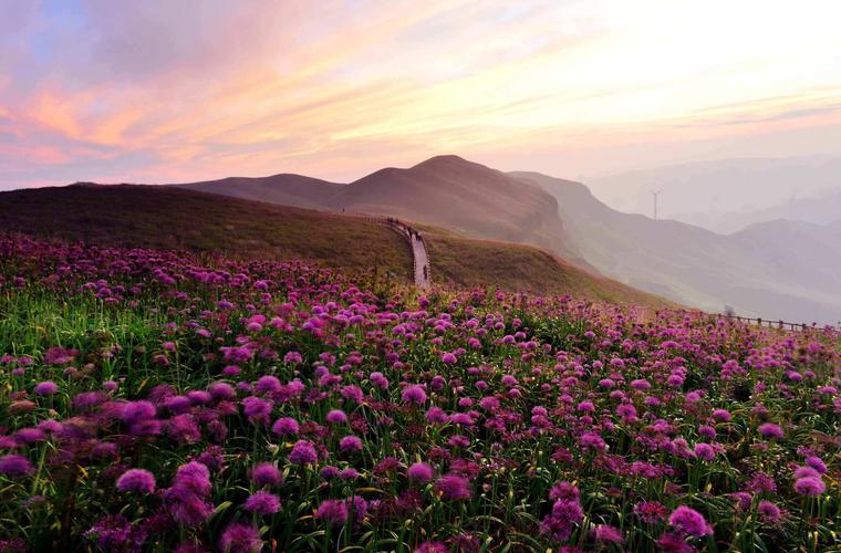 韭菜坪风景区-图1