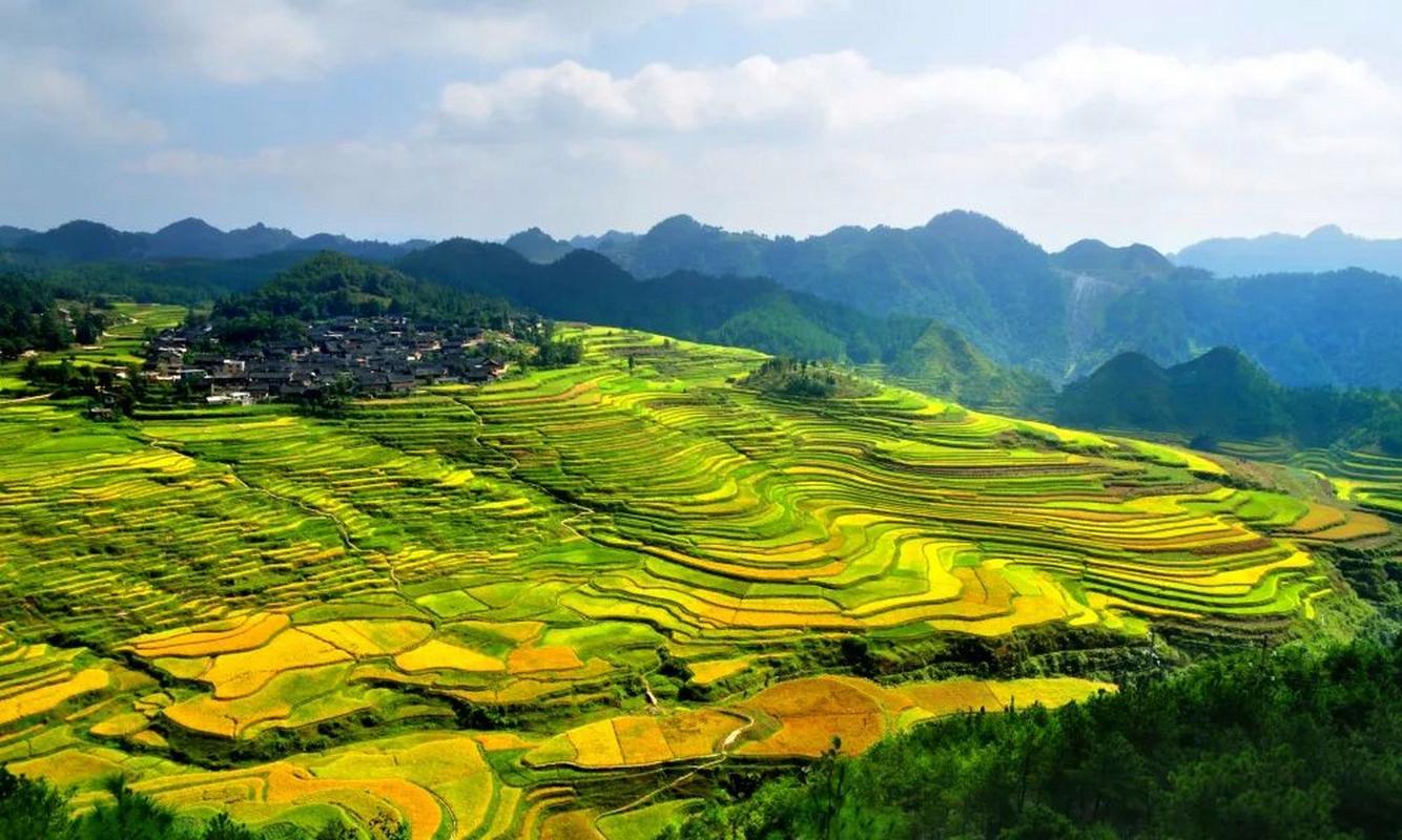 贵州梯田风景区-图2