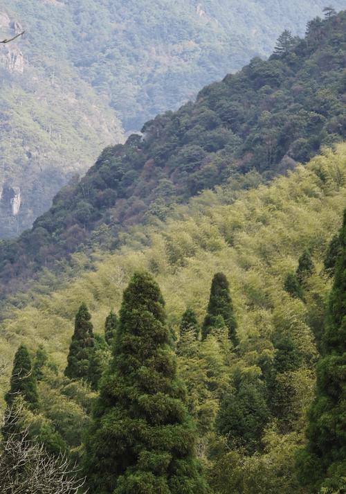 独立山风景区-图2