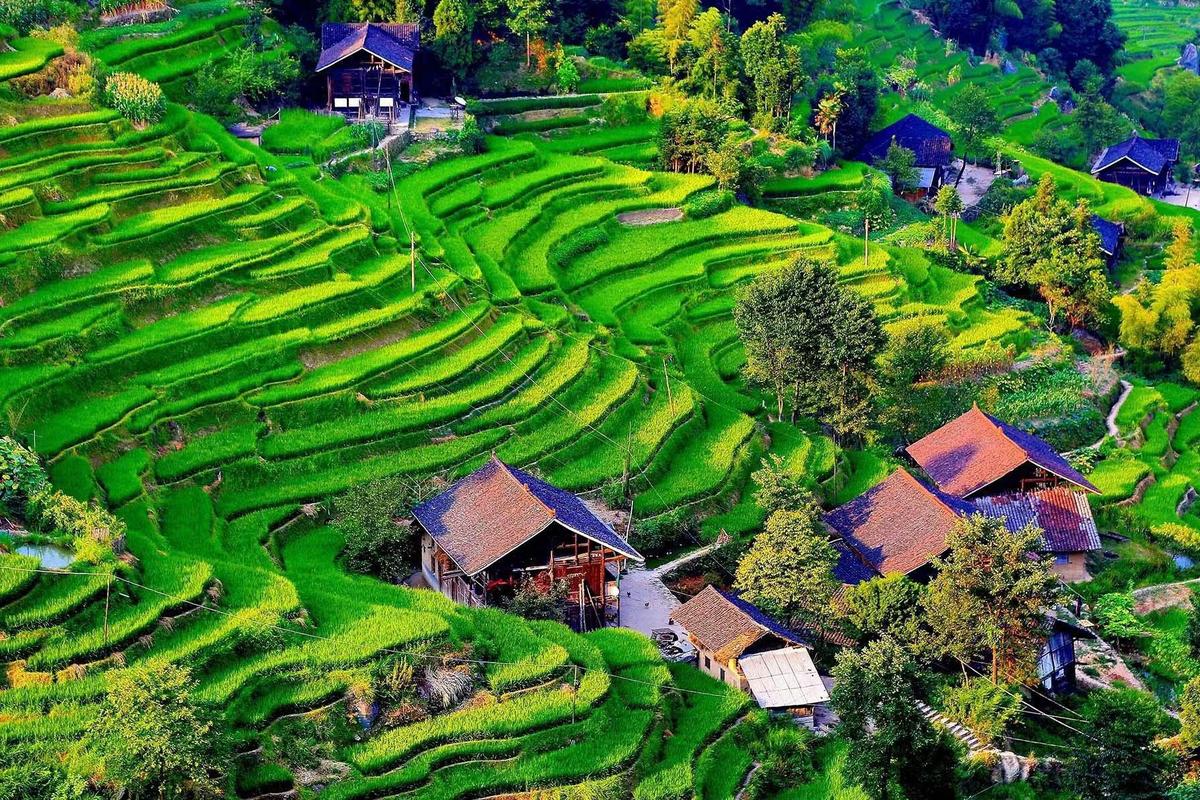 湖南梯田风景区-图1