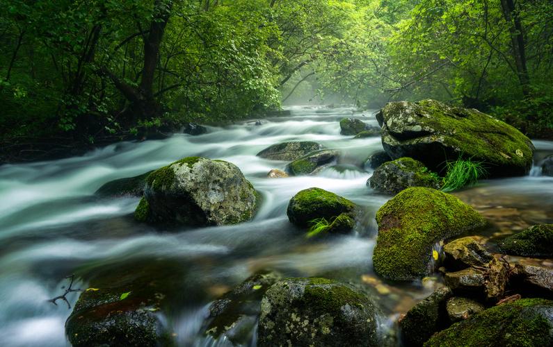 神农源风景区-图2