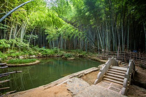 南京竹海风景区-图1