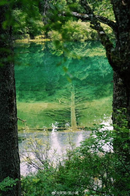 附近风景区有哪些-图3