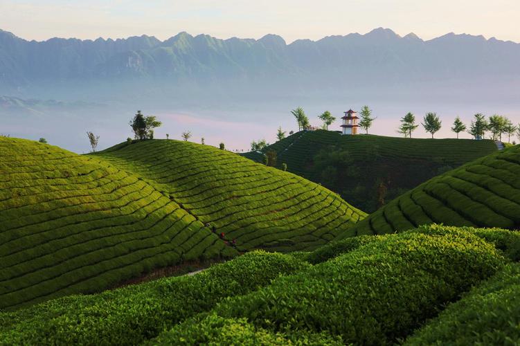 东莞茶山风景区-图3