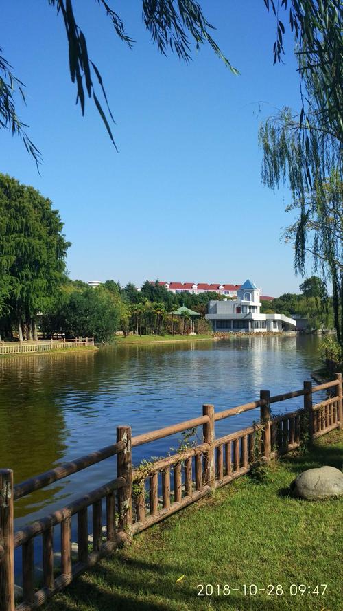 金山区风景区-图1