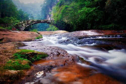 古蔺黄荆老林风景区-图3