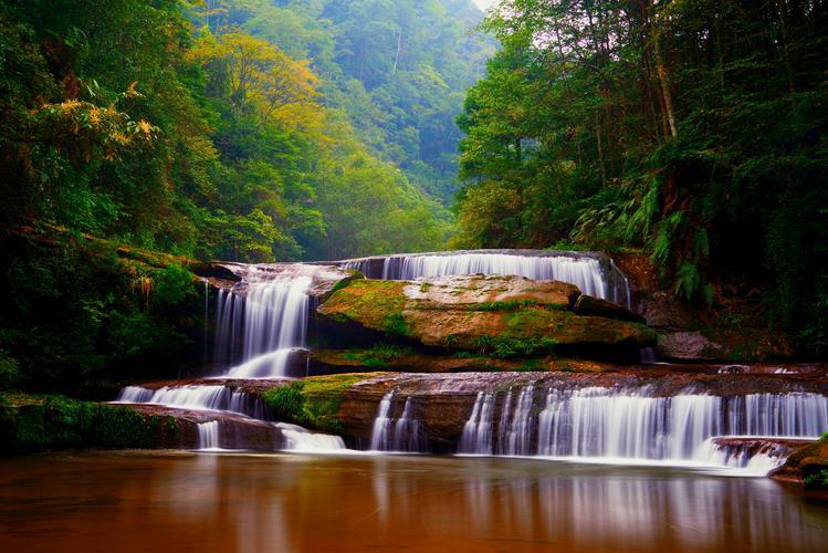 古蔺黄荆老林风景区-图1