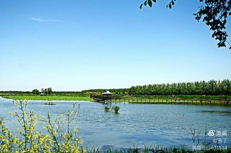 盘锦绿水湾风景区-图3