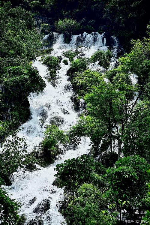 十万大山风景区-图1