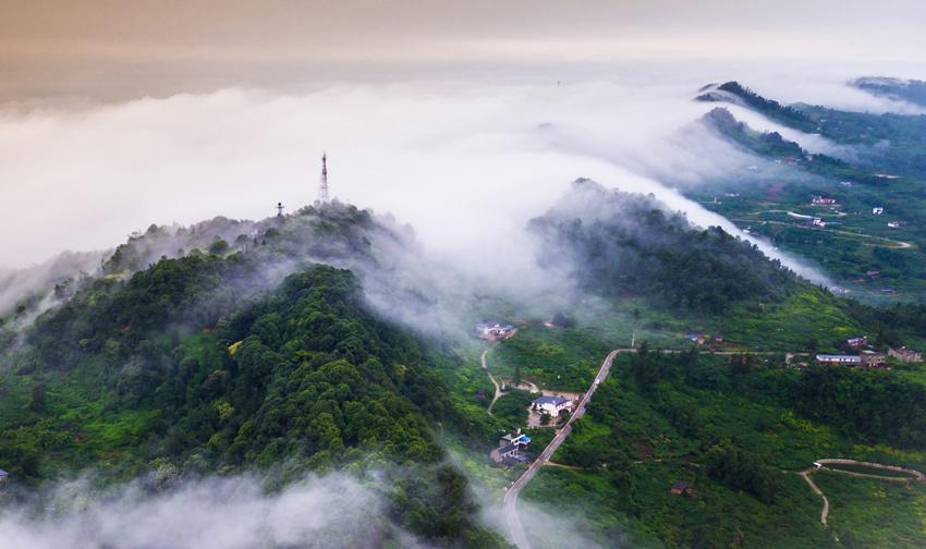 龙泉驿风景区-图2