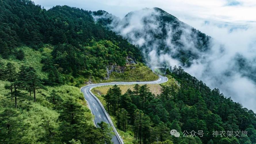 神龙架风景区天气-图2