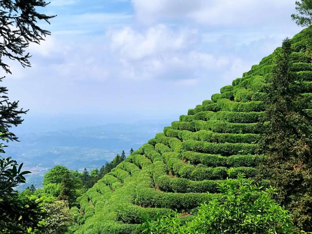 骆崃山风景区-图1