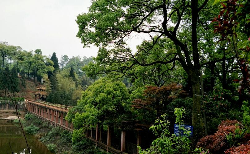 骆崃山风景区-图2