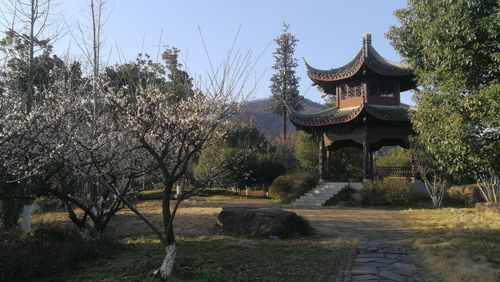 超山风景区免费-图2