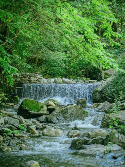 周至狐狸沟风景区-图1