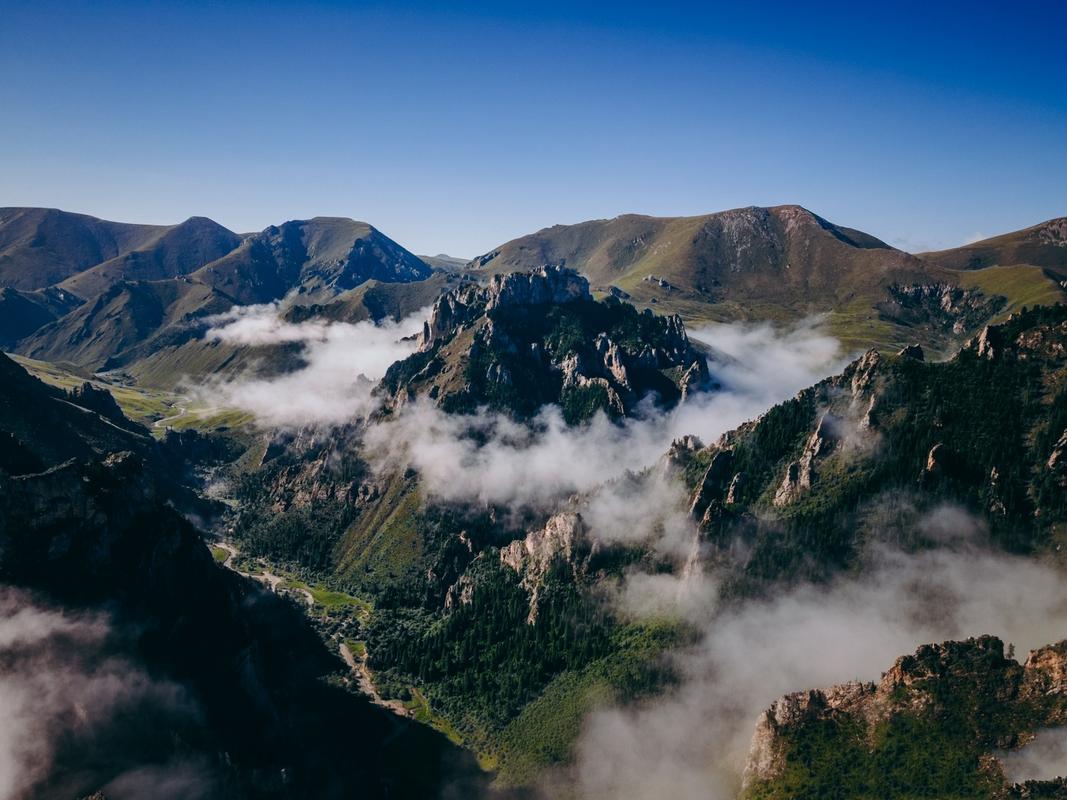 则岔石林风景区-图1