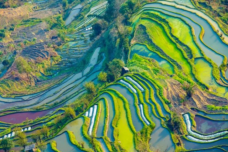 红河州风景区-图1