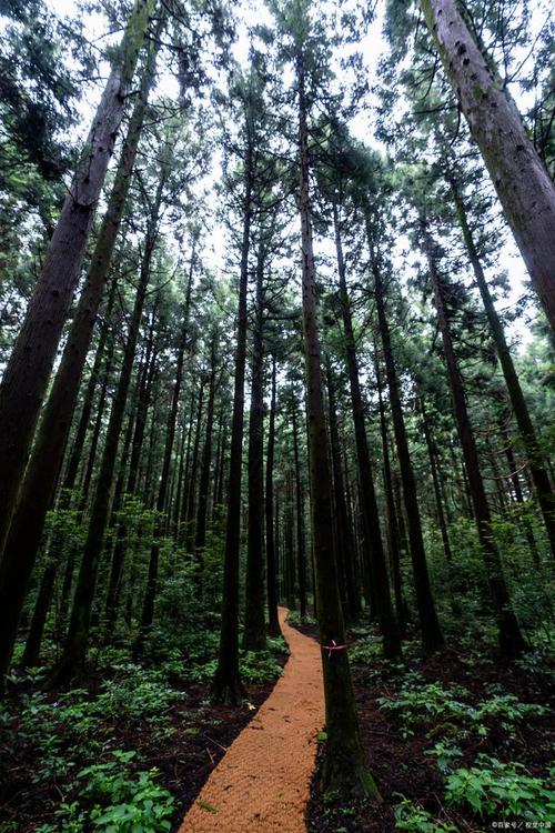 山王坪风景区-图1