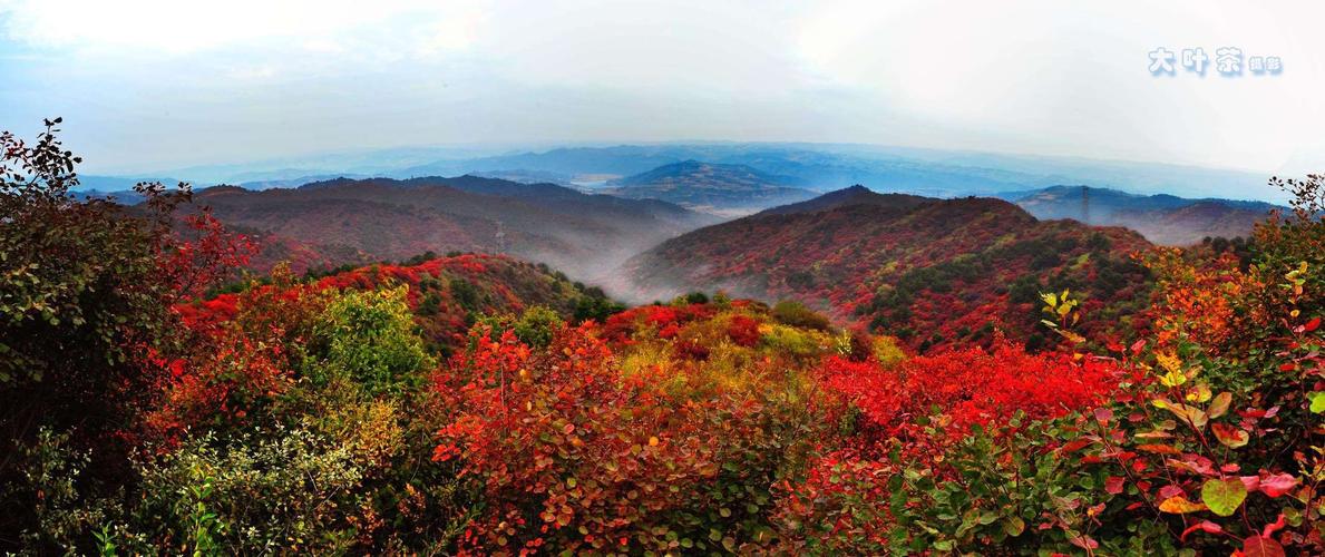 安泽红叶岭风景区-图2