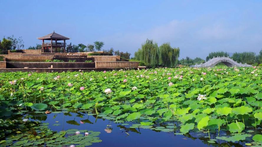 铁岭莲花湿地风景区-图2